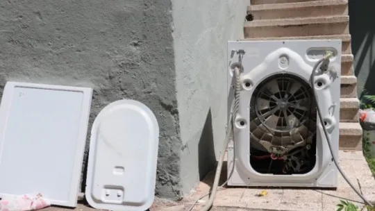 İçine giren yılanı çıkarmak için çamaşır makinesini parçaladılar