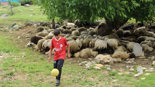 Çobanlıktan sahalara