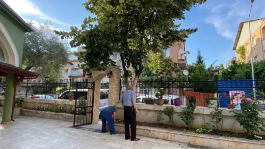 Ağaçtan düşerek demir korkuluklara saplandı