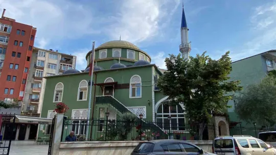 Ağaçtan düşerek demir korkuluklara saplandı