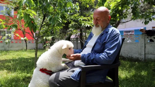 İki aylık kuzusu peşinden hiç ayrılmıyor