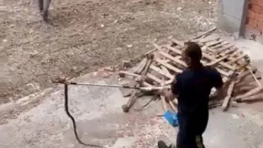Kocaeli'nin o ilçelerinde yılan paniği