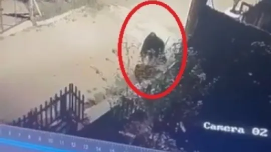 İlçeyi ayağa kaldıran şahıs, vatandaşlar tarafından yakalandı