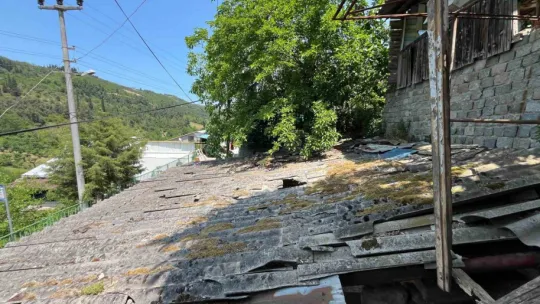 İpini koparan boğa otomobilin üzerine düştü