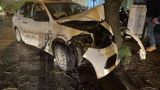 İş makinesini sollamak istedi, ağaca girdi