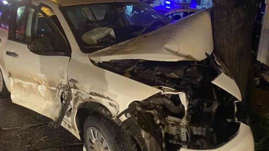 İş makinesini sollamak istedi, ağaca girdi