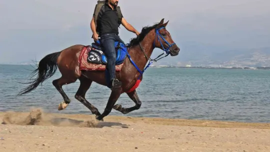İşe atla gidiyor, sokakları onunla turluyor