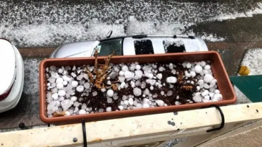 İstanbul doluya teslim Kocaeli'ye geliyor!
