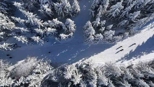 İstanbul, Kartepe'ye akın etti