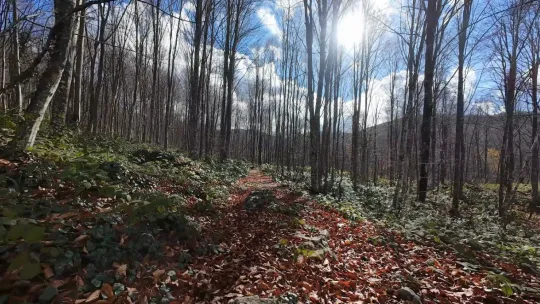 İstanbul'un yanı başında sonbahar rotası