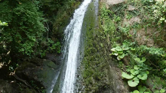 İstanbul'un yanı başındaki saklı cennet, zorlu parkuru ile doğa tutkunlarını mest edecek