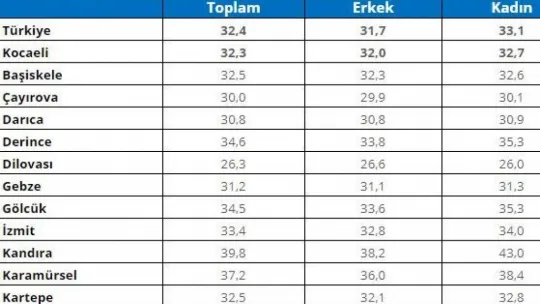 İşte Kocaeli'nin en genç ve en yaşlı ilçeleri