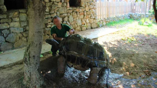 İşten atılınca çatıya çıktı, ikna edilmesi 3 saat sürdü