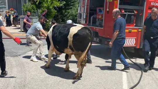 İzmarit önce otları, sonra ahırı yaktı