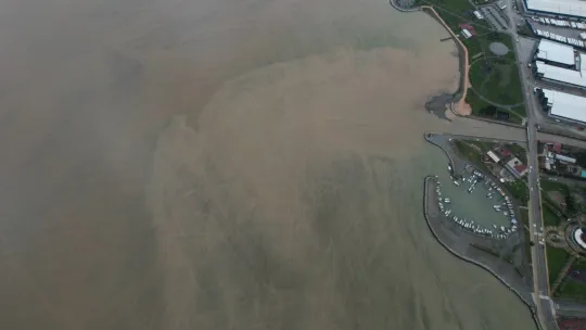 İzmit Körfezi kahverengiye büründü