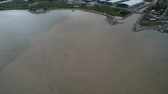 İzmit Körfezi kahverengiye büründü