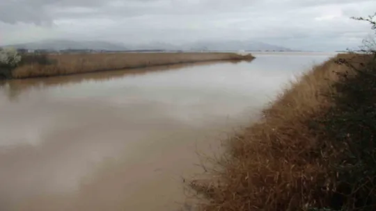 İzmit Körfezi kahverengiye büründü