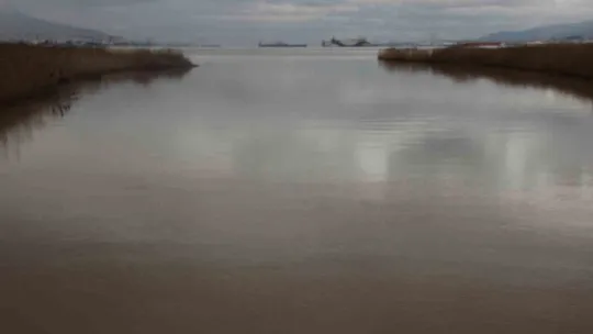 İzmit Körfezi kahverengiye büründü