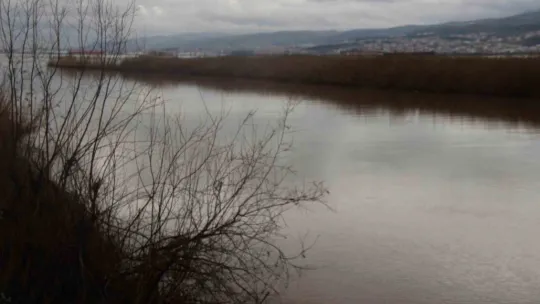 İzmit Körfezi kahverengiye büründü