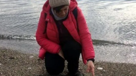 İzmit Körfezi'nde deniz anası istilası