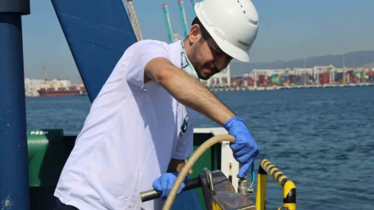 İzmit Körfezi'nde deniz ekosistemi hayat buluyor