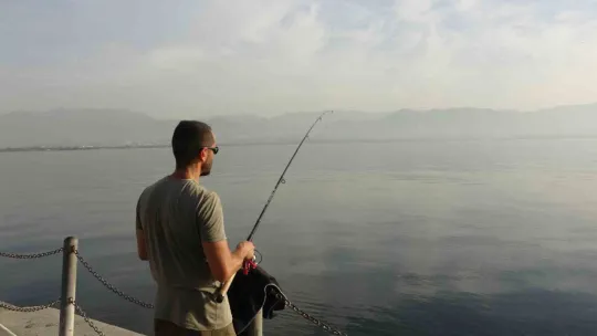 İzmit Körfezi'nde görünen denizanaları hakkında açıklama