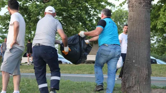 İzmit Körfezi'nde ölü yunus balığı kıyıya vurdu