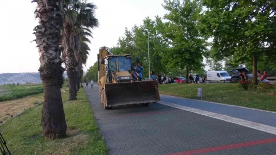 İzmit Körfezi'nde ölü yunus balığı kıyıya vurdu