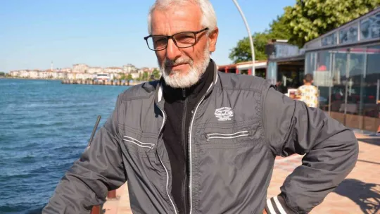 İzmit Körfezi'ni 'Pusula denizanaları' bastı
