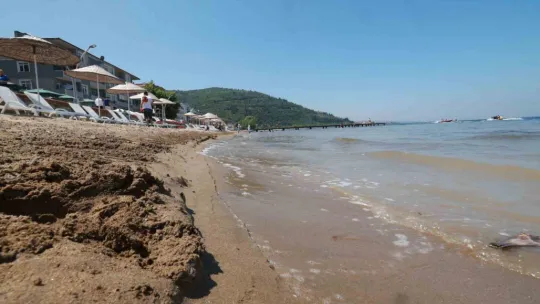İzmit Körfezi'ni kirleten gemilere bakın ne kadar ceza kesildi