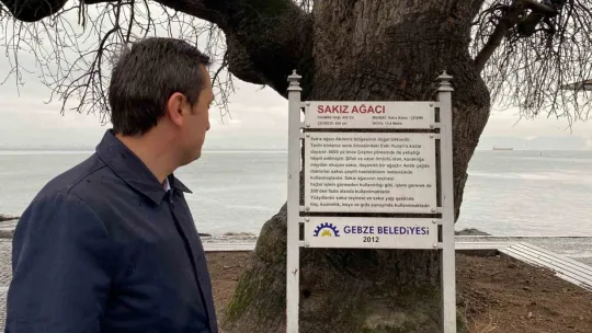 İzmit Körfezi'nin dibinde, 4 buçuk asırdır ayakta duruyor