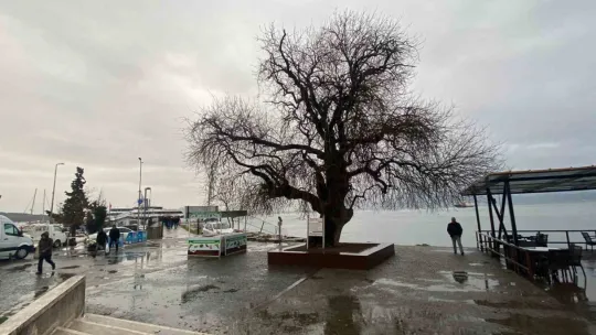 İzmit Körfezi'nin dibinde, 4 buçuk asırdır ayakta duruyor