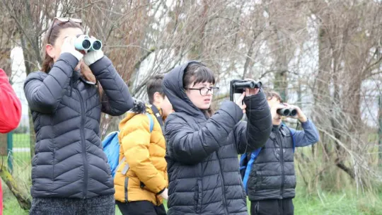 İzmit Körfezi'nin zarif misafirleri şenlikte görüntülendi