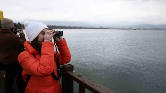 İzmit Körfezi'nin zarif misafirleri şenlikte görüntülendi