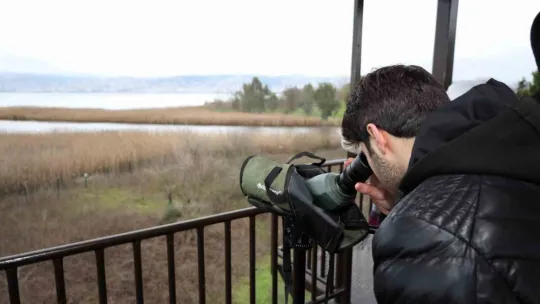 İzmit Körfezi'nin zarif misafirleri şenlikte görüntülendi