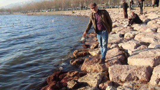 Körfez sahil şeridi kırmızı yosunla kaplandı
