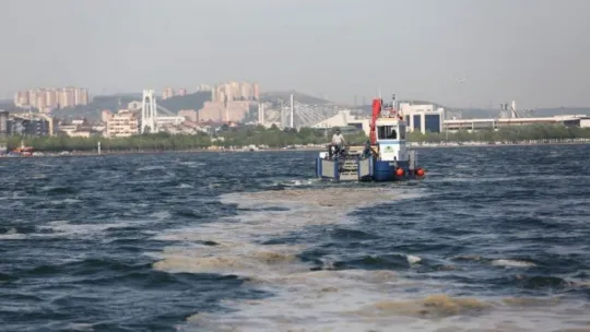 İzmit Körfezi'nde 50 günde 150 ton deniz salyası toplandı
