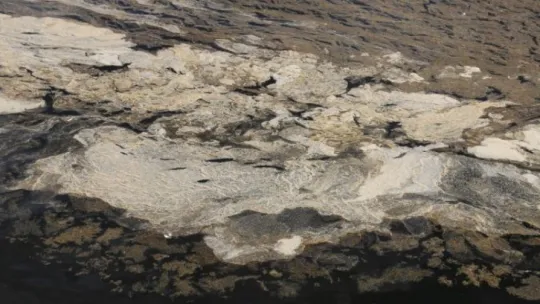 İzmit Körfezi'ndeki tabakanın sebebi bakın ne çıktı!