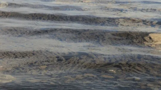 İzmit Körfezi'ndeki tabakanın sebebi bakın ne çıktı!