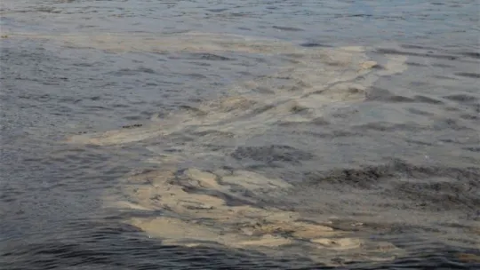 İzmit Körfezi'ndeki tabakanın sebebi bakın ne çıktı!