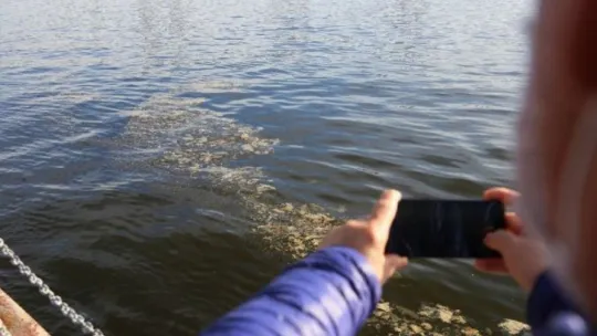 İzmit Körfezi'ndeki tabakanın sebebi bakın ne çıktı!