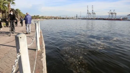 İzmit Körfezi'ndeki tabakanın sebebi bakın ne çıktı!