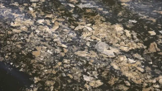 İzmit Körfezi'ndeki tabakanın sebebi bakın ne çıktı!