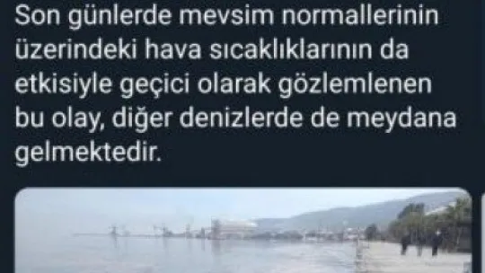 İzmit Körfezi'ndeki tabakanın sebebi bakın ne çıktı!