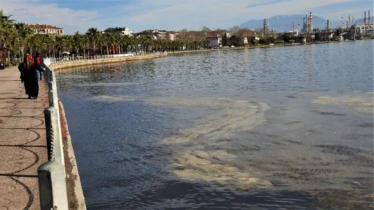 İzmit Körfezi'ndeki tabakanın sebebi bakın ne çıktı!