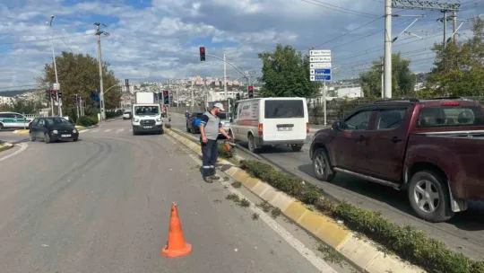 İzmit'te sonbahar budaması