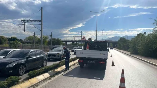 İzmit'te sonbahar budaması