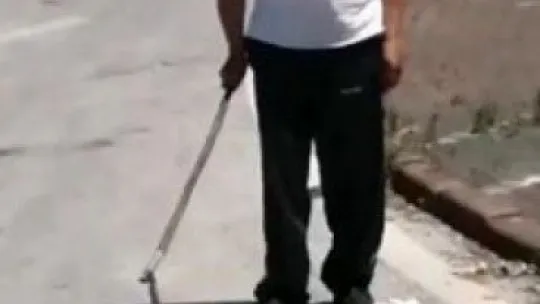 İzmit'te yılan paniği!