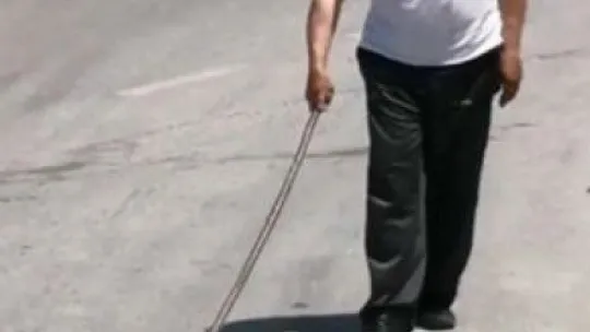 İzmit'te yılan paniği!