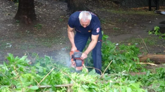 İzmit'te yoğun yağış ağaçları devirdi!